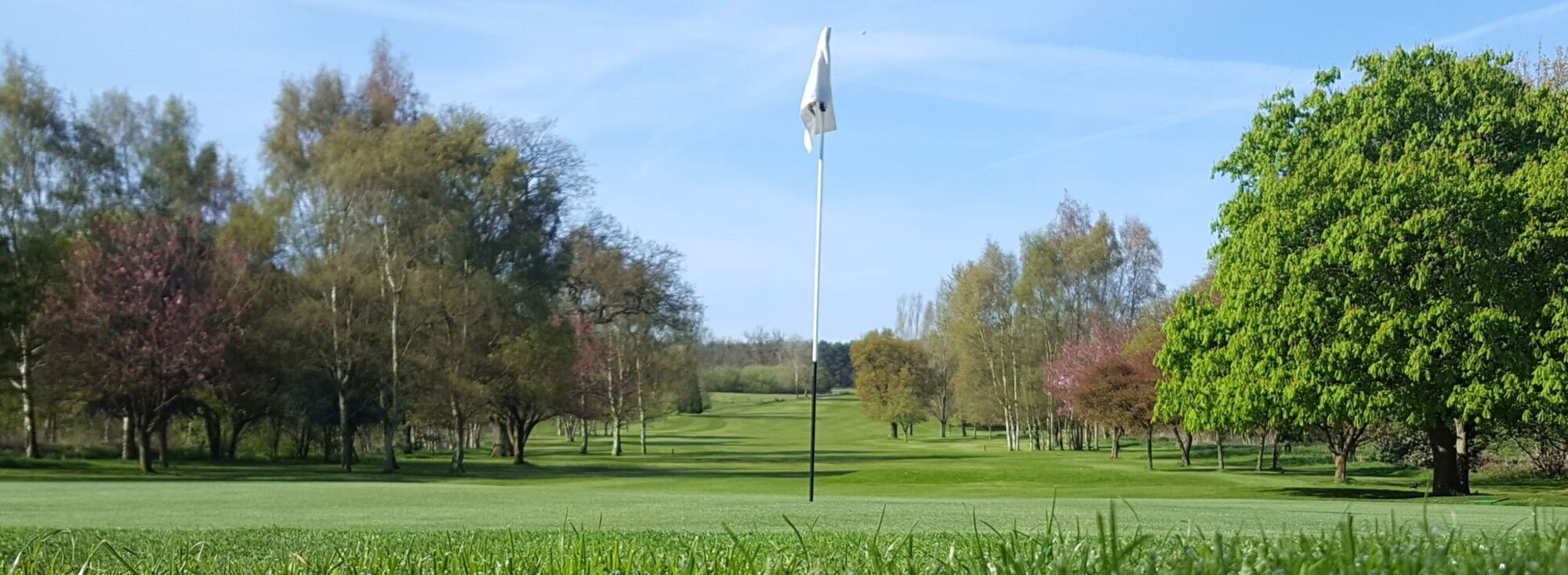 Ingestre Park Golf Club